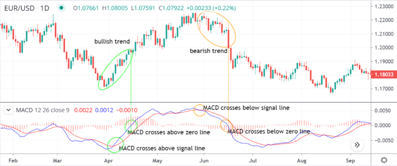 Image of MACD indicator with crossovers and trends labelled