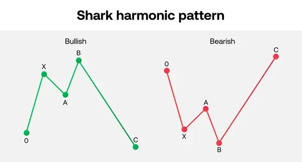 Shark harmonic pattern