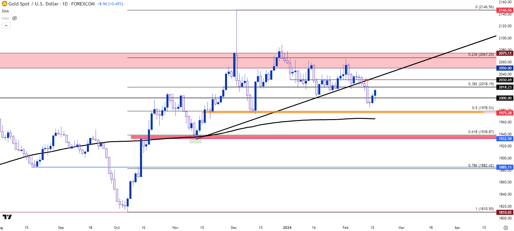 gold daily 21624